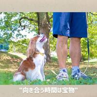 画像245